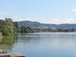 Grillfest mit der SHG der Kehlkopfoperierten in Weinheim am See